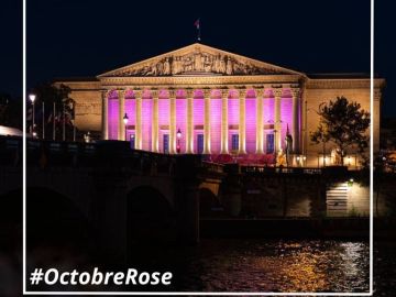[#OctobreRose]

Comme chaque année, mobilisation générale pour la prévention et la lutte contre le cancer du sein, avec Octobre Rose.

Il reste le cancer le...