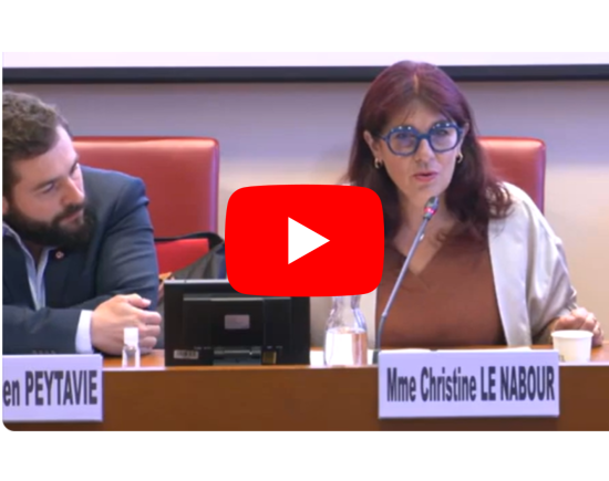 Pr&eacute;sentation du rapport sur la loi handicap de 2005 devant la Commission des affaires sociales