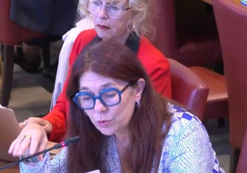 Commission spéciale sur l’examen du projet de loi relatif à la protection des enfants